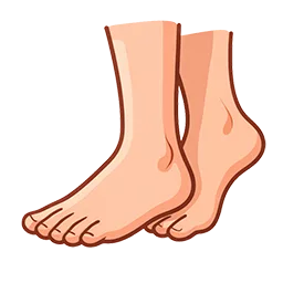Ноги